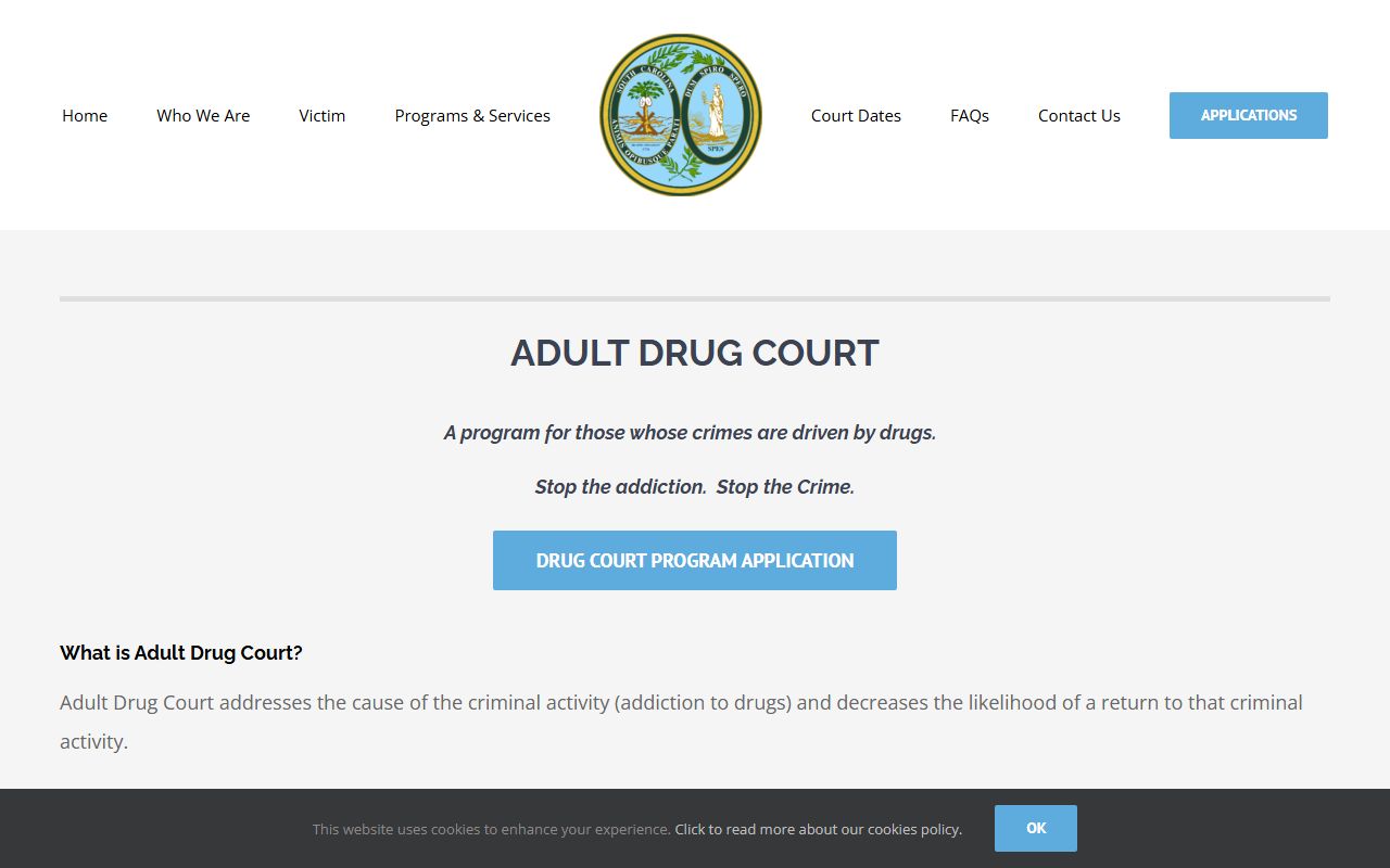 Chesterfield County criminal court records Adult Drug Court source